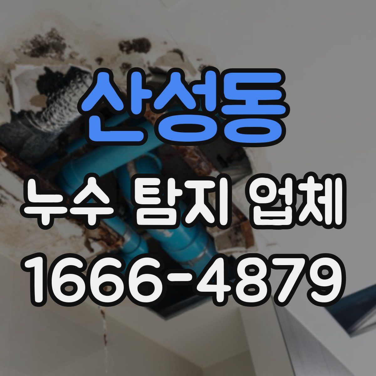 산성동 누수 탐지 업체