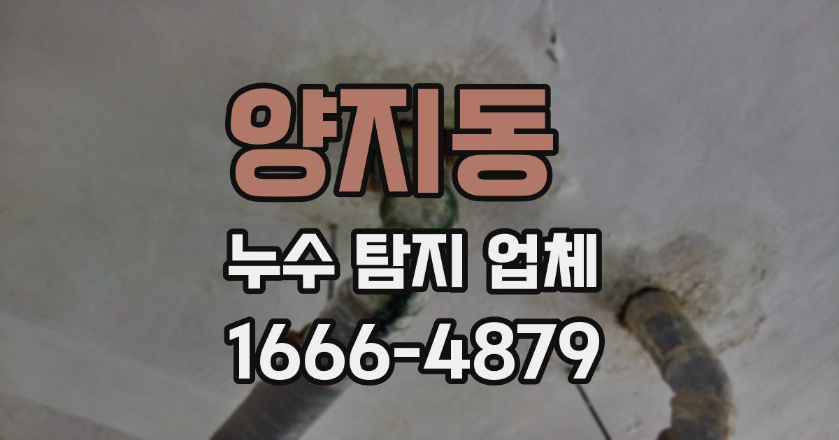 양지동 누수 탐지 업체