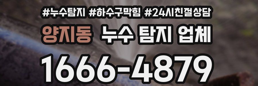 양지동 누수 탐지 업체