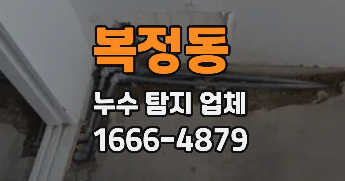 복정동 누수 탐지 업체