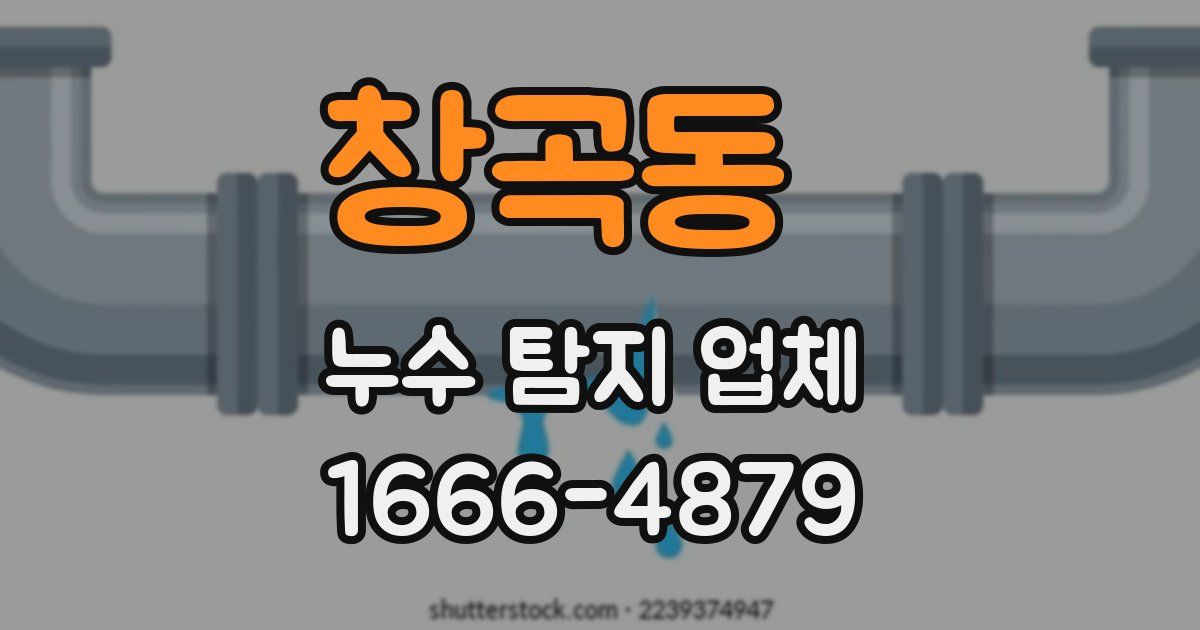 창곡동 누수 탐지 업체