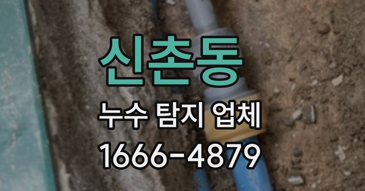 신촌동 누수 탐지 업체