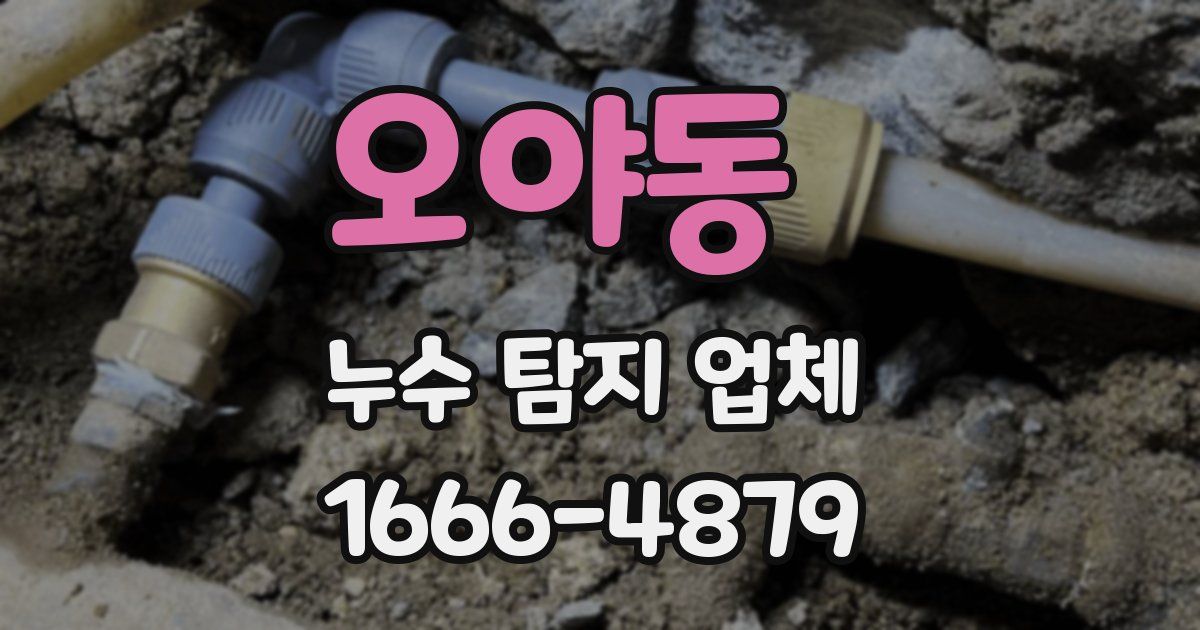 오야동 누수 탐지 업체