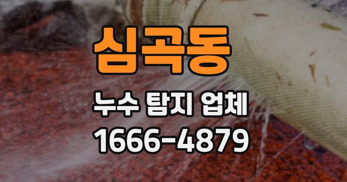 심곡동 누수 탐지 업체