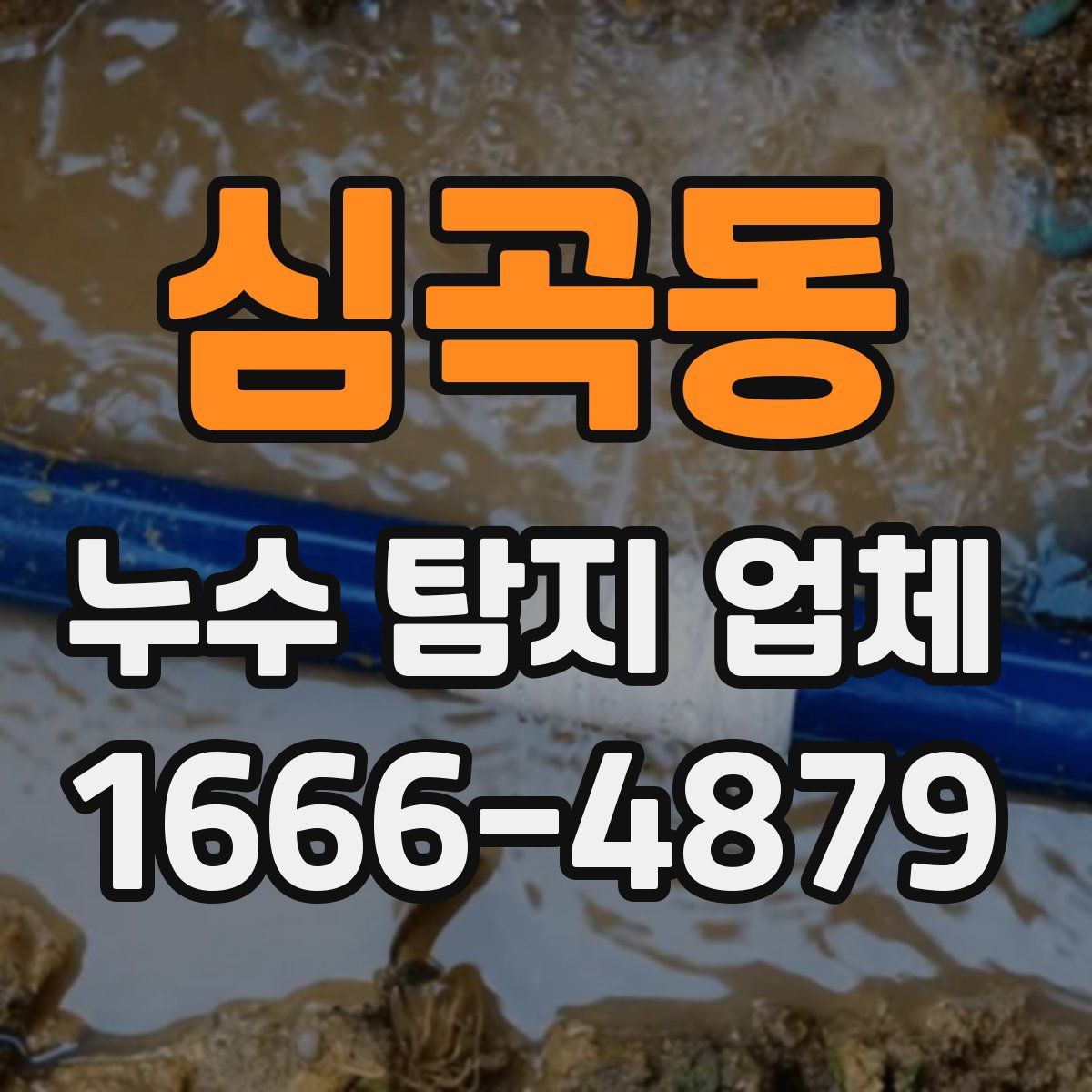 심곡동 누수 탐지 업체