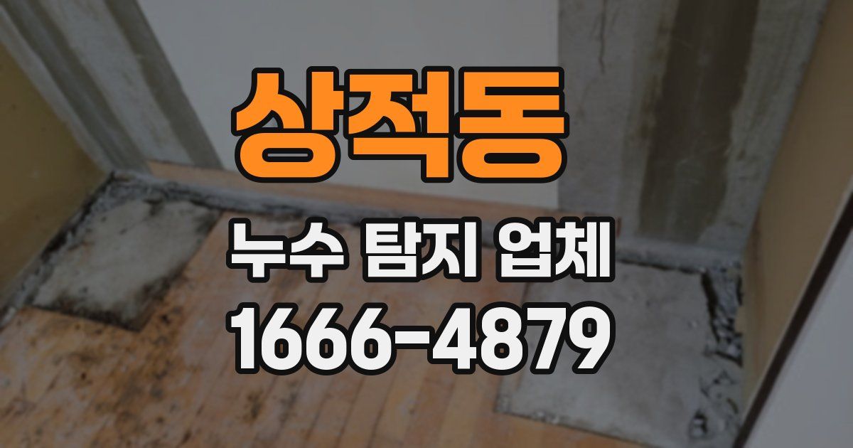 상적동 누수 탐지 업체