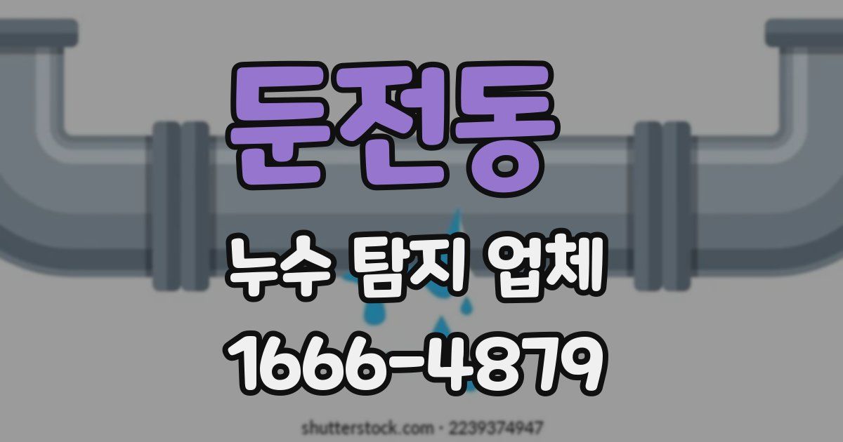 둔전동 누수 탐지 업체