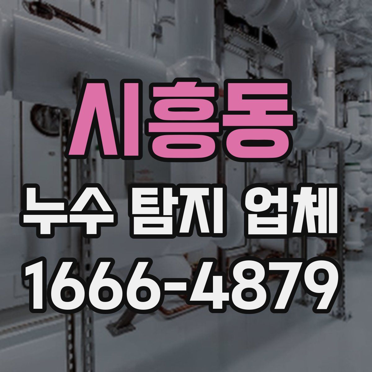 시흥동 누수 탐지 업체