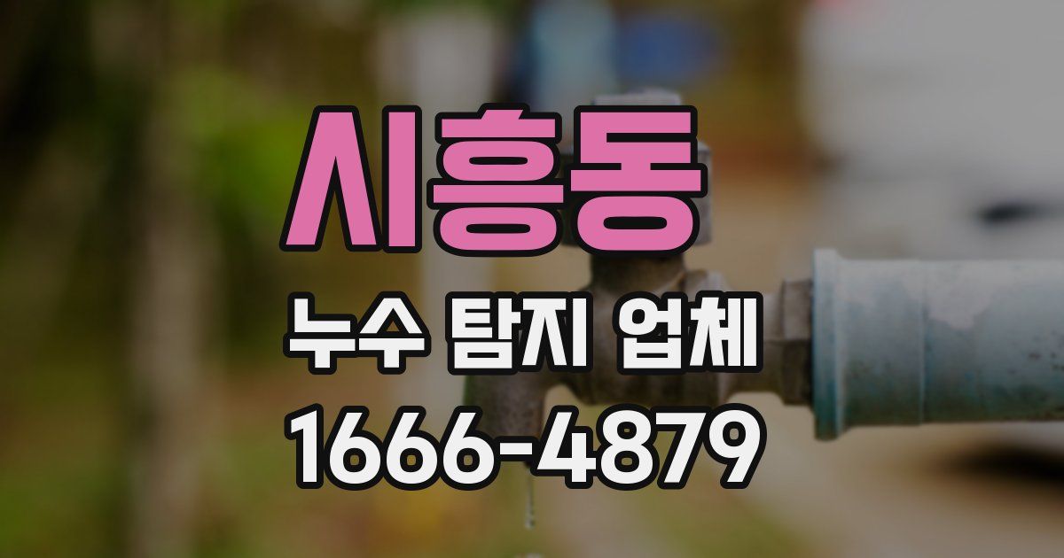 시흥동 누수 탐지 업체