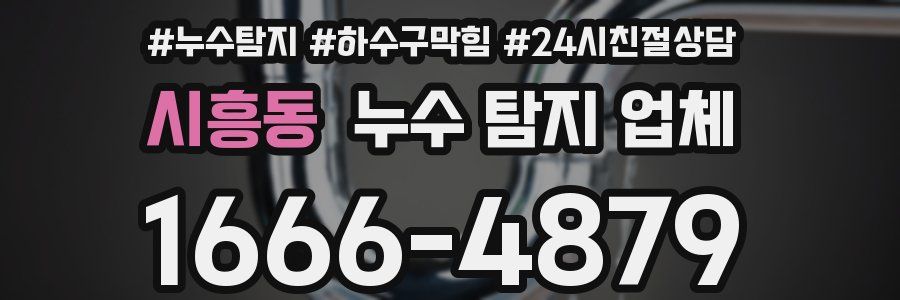시흥동 누수 탐지 업체