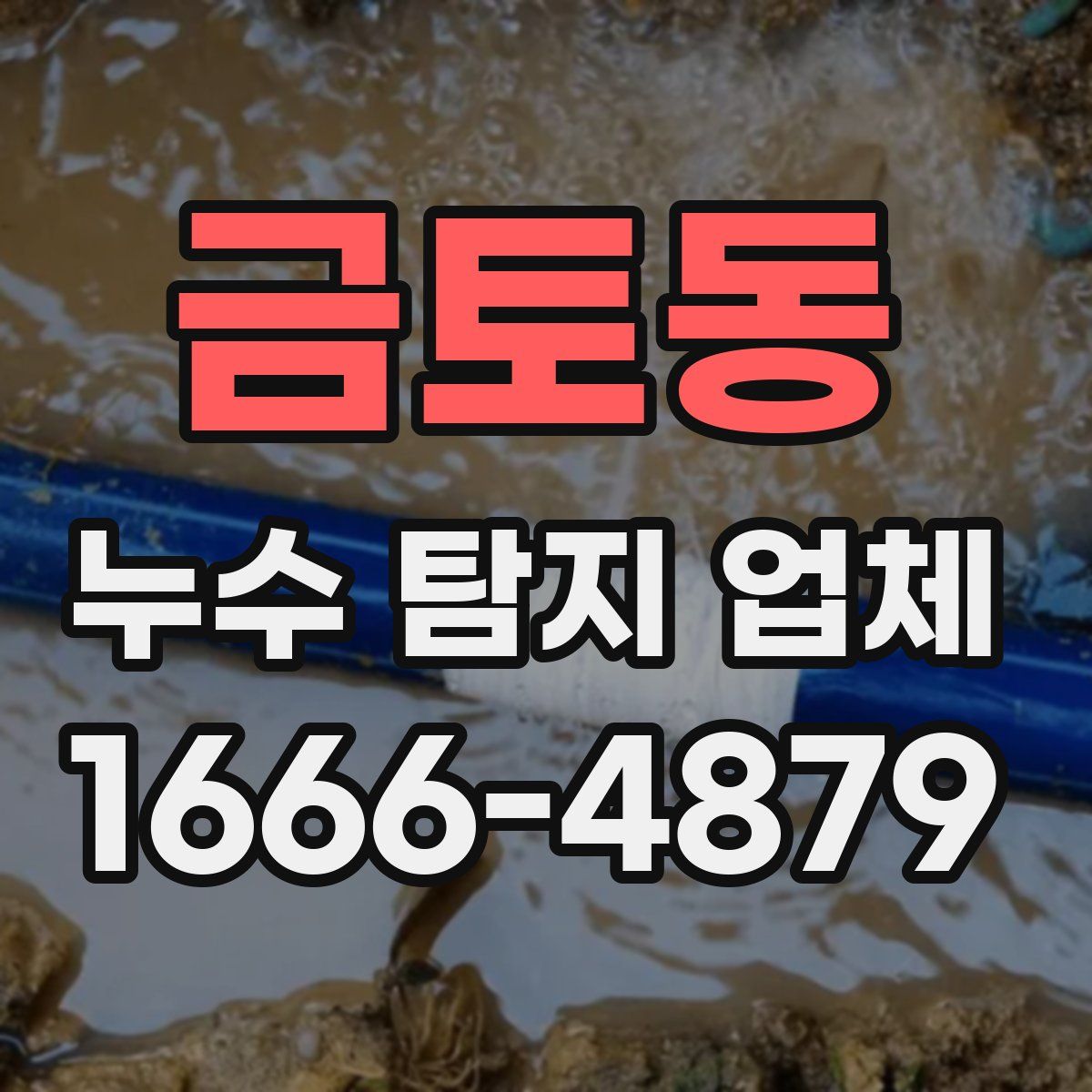 금토동 누수 탐지 업체