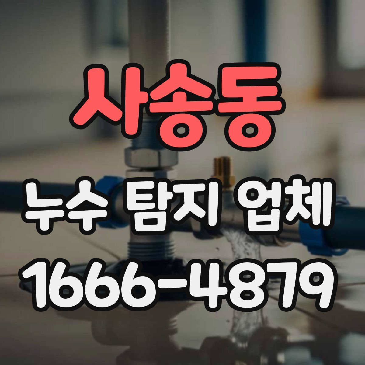 사송동 누수 탐지 업체