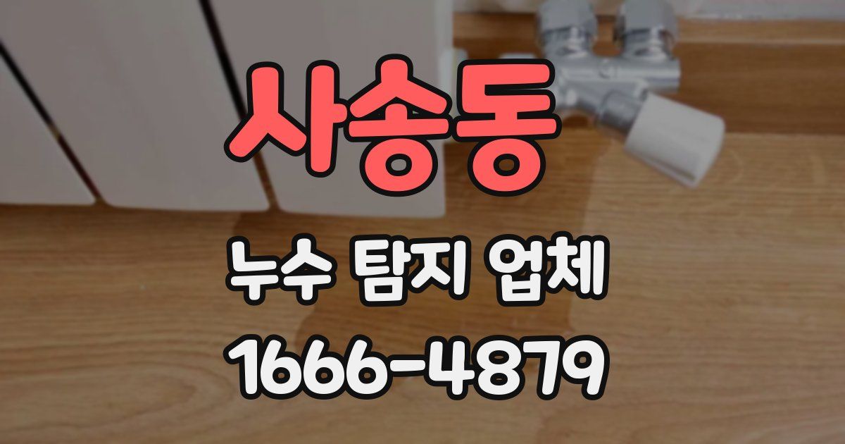 사송동 누수 탐지 업체