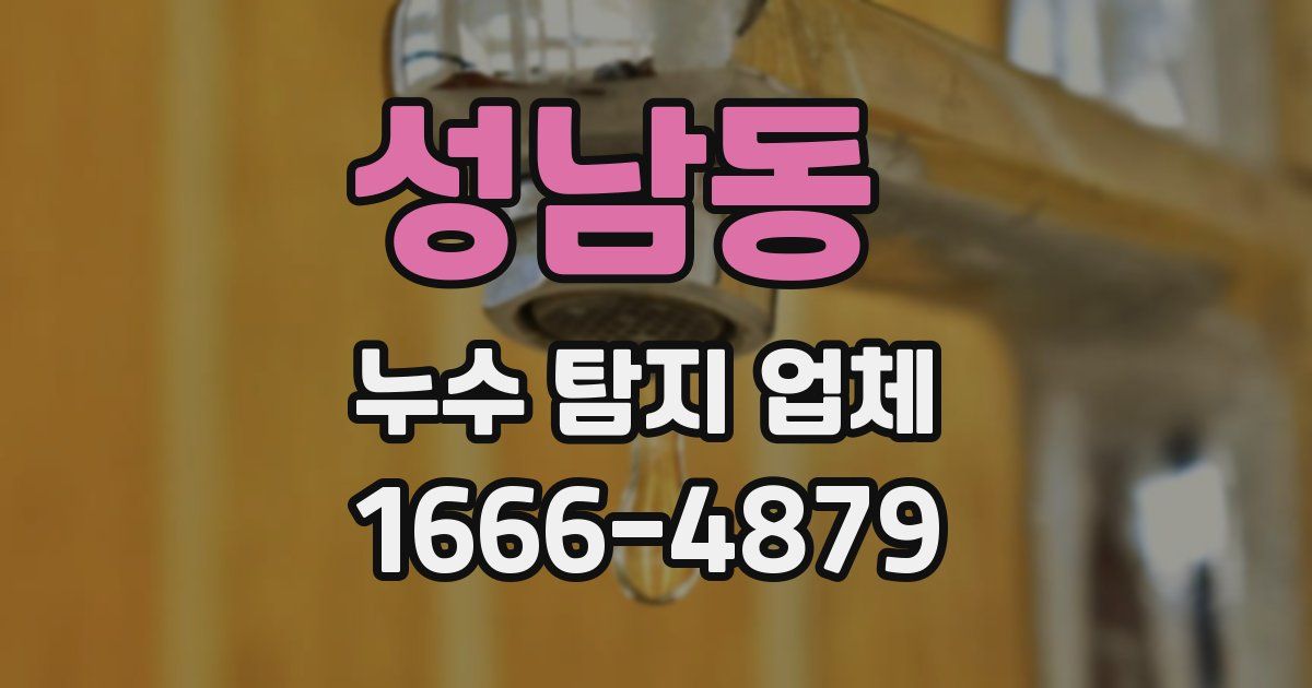 성남동 누수 탐지 업체