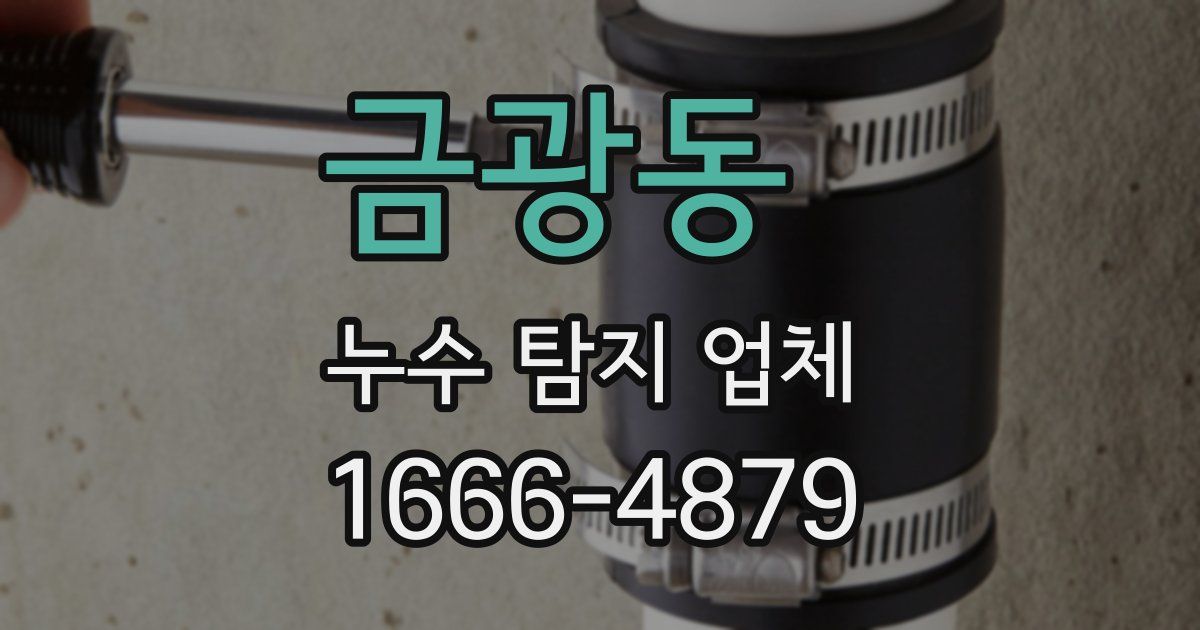 금광동 누수 탐지 업체