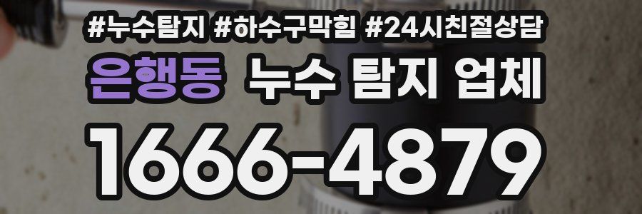 은행동 누수 탐지 업체