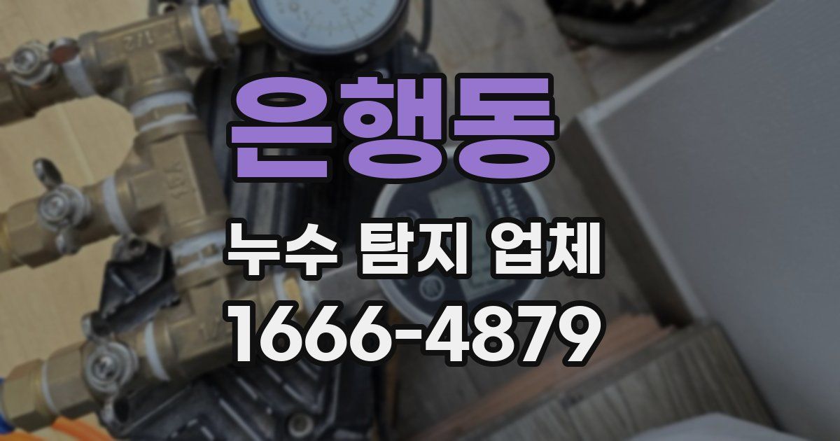 은행동 누수 탐지 업체