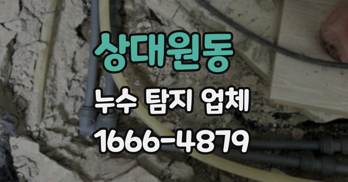 상대원동 누수 탐지 업체