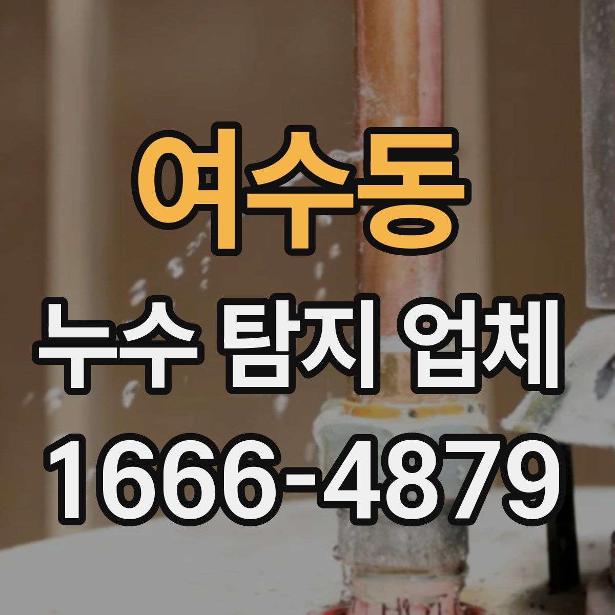 여수동 누수 탐지 업체