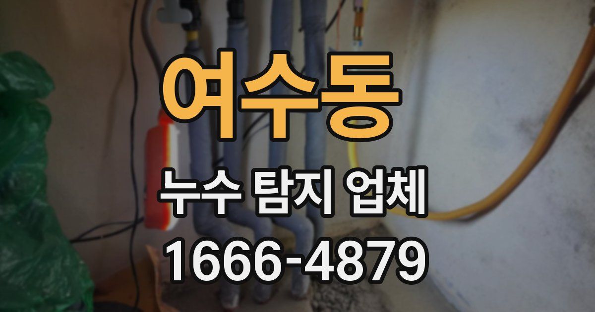 여수동 누수 탐지 업체
