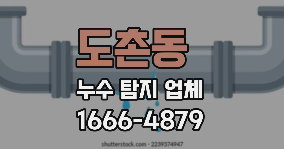 도촌동 누수 탐지 업체