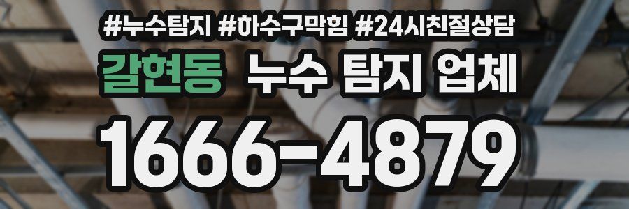 갈현동 누수 탐지 업체