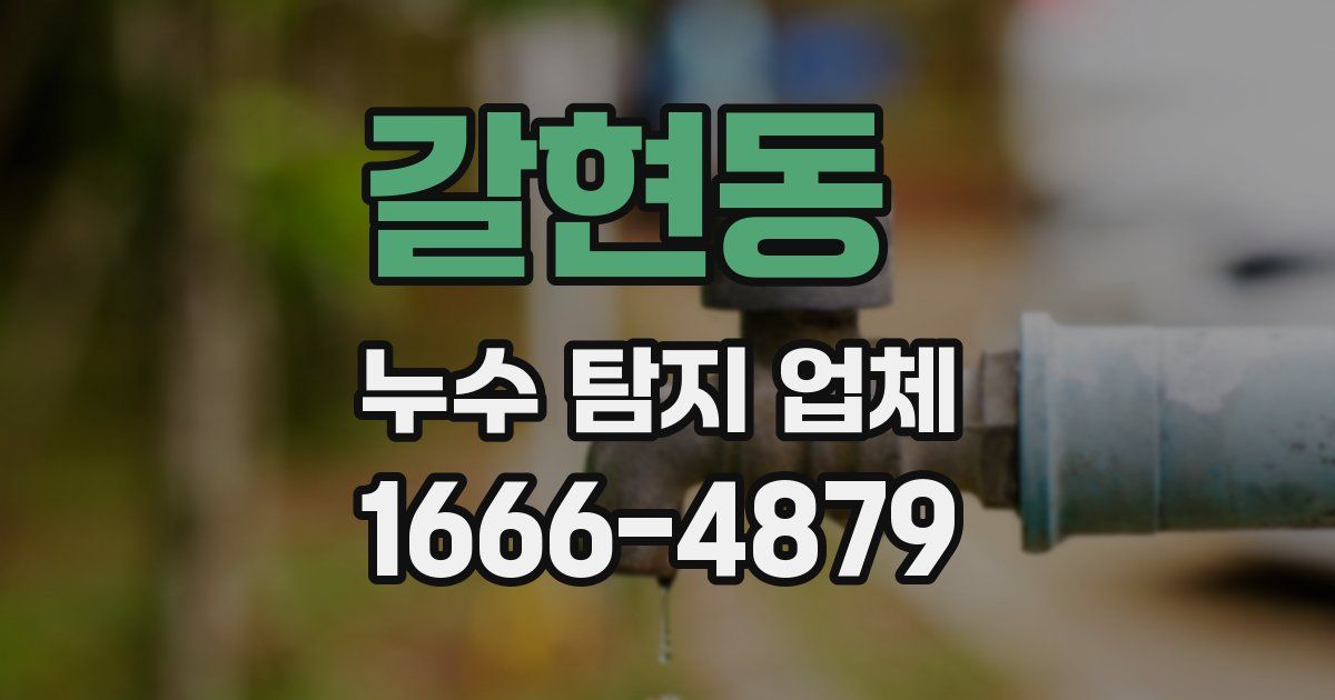 갈현동 누수 탐지 업체