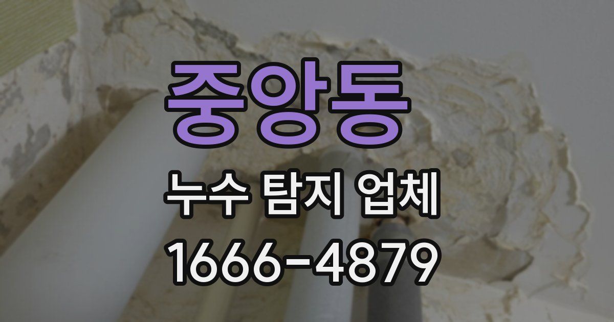 중앙동 누수 탐지 업체