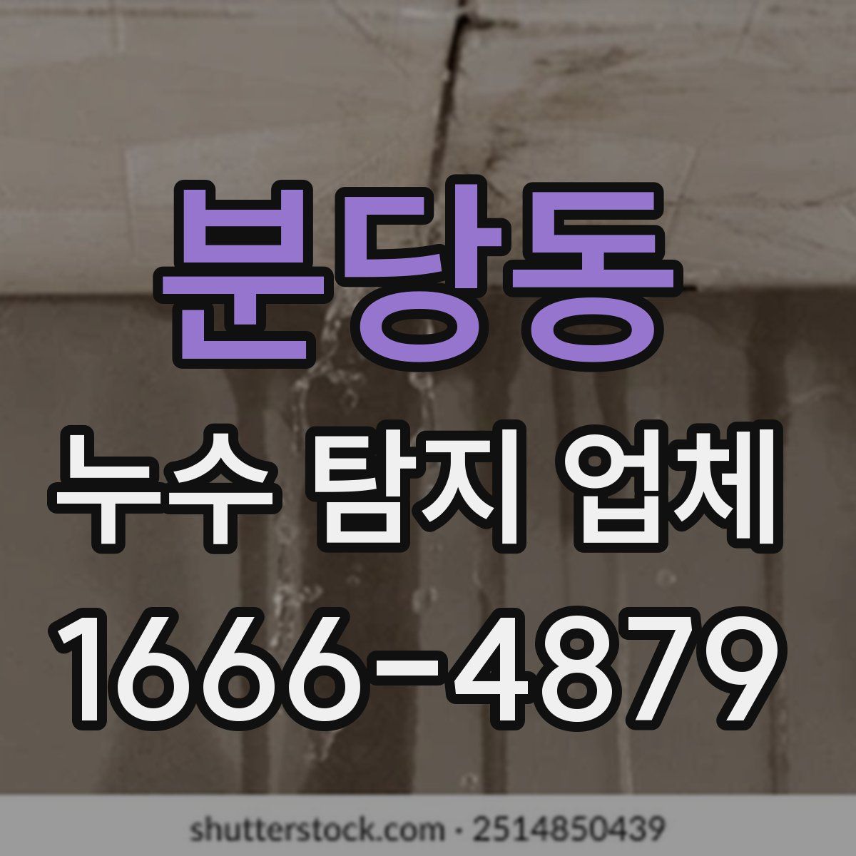 분당동 누수 탐지 업체
