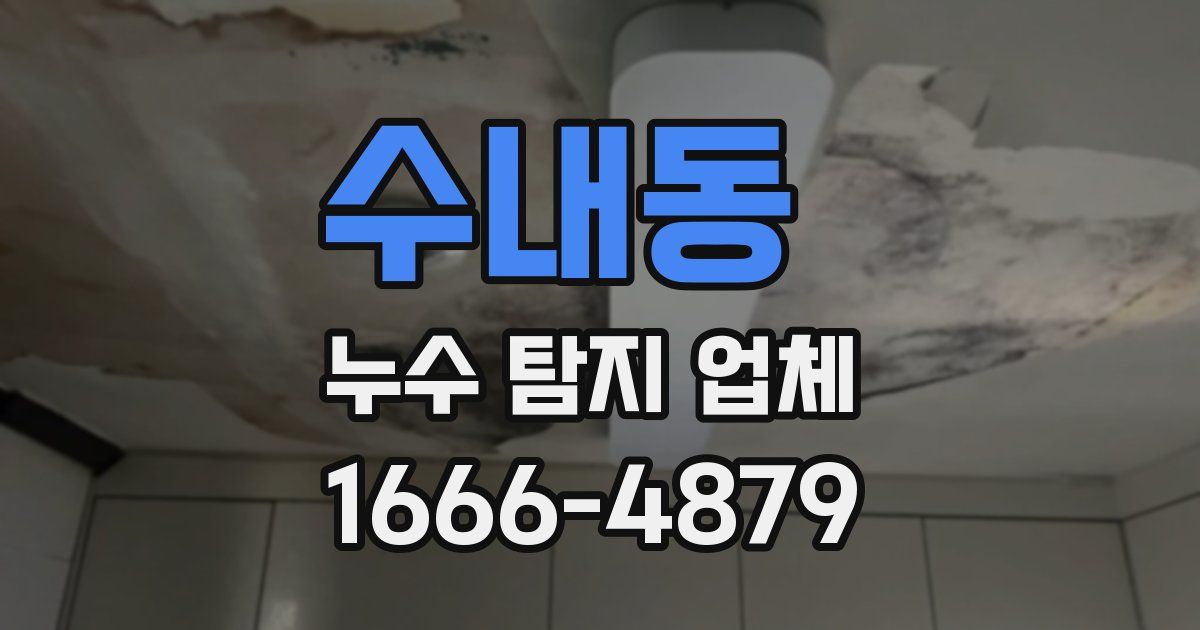 수내동 누수 탐지 업체