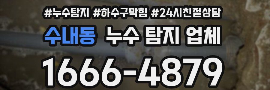 수내동 누수 탐지 업체