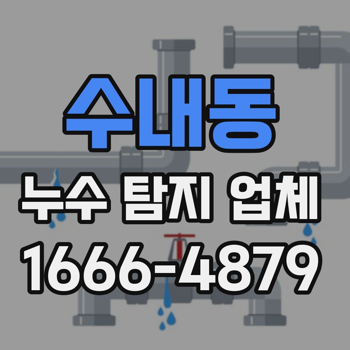 수내동 누수 탐지 업체