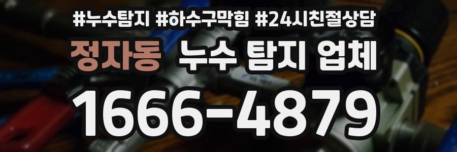 정자동 누수 탐지 업체