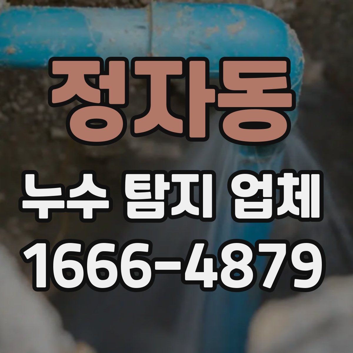 정자동 누수 탐지 업체