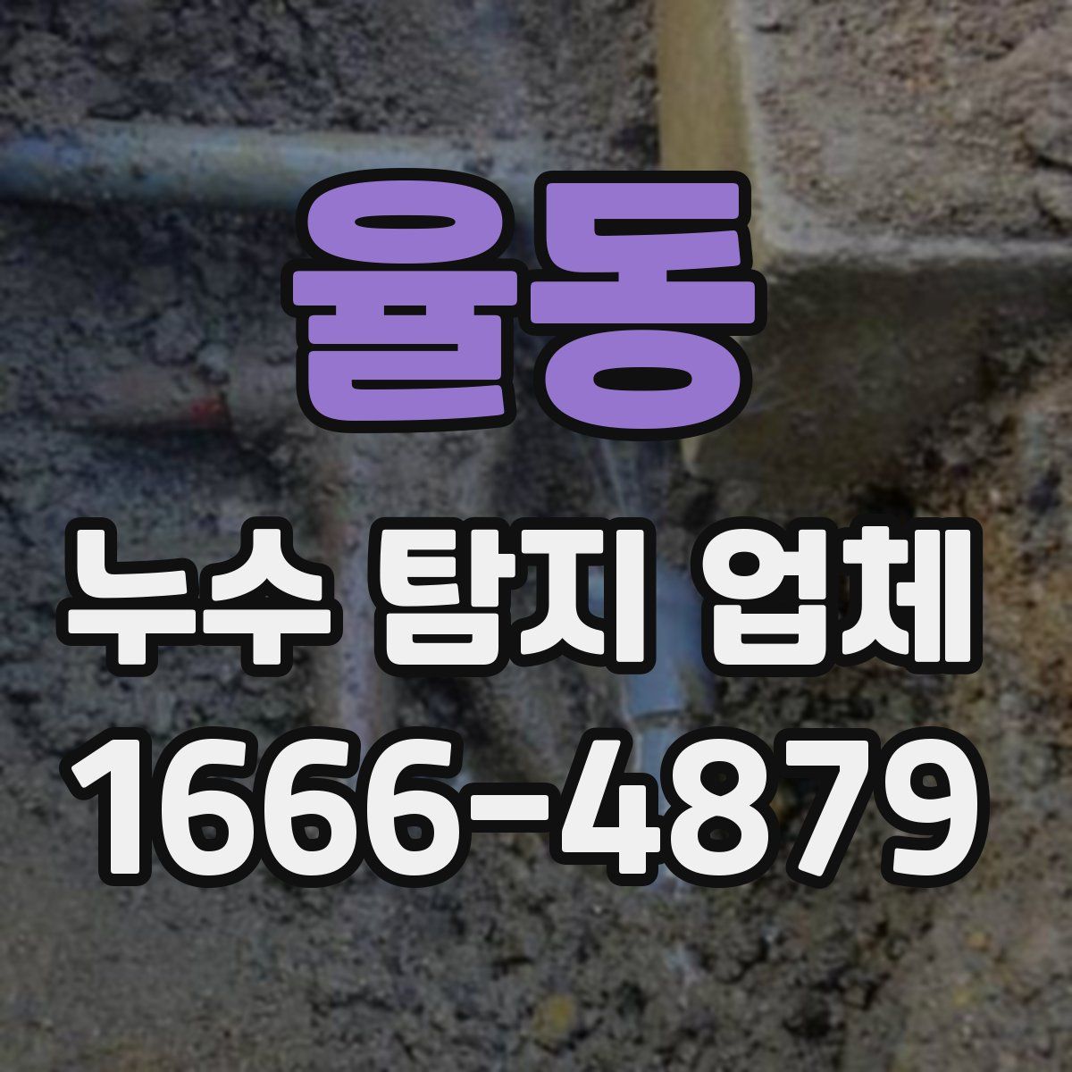 율동 누수 탐지 업체