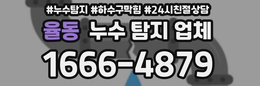 율동 누수 탐지 업체