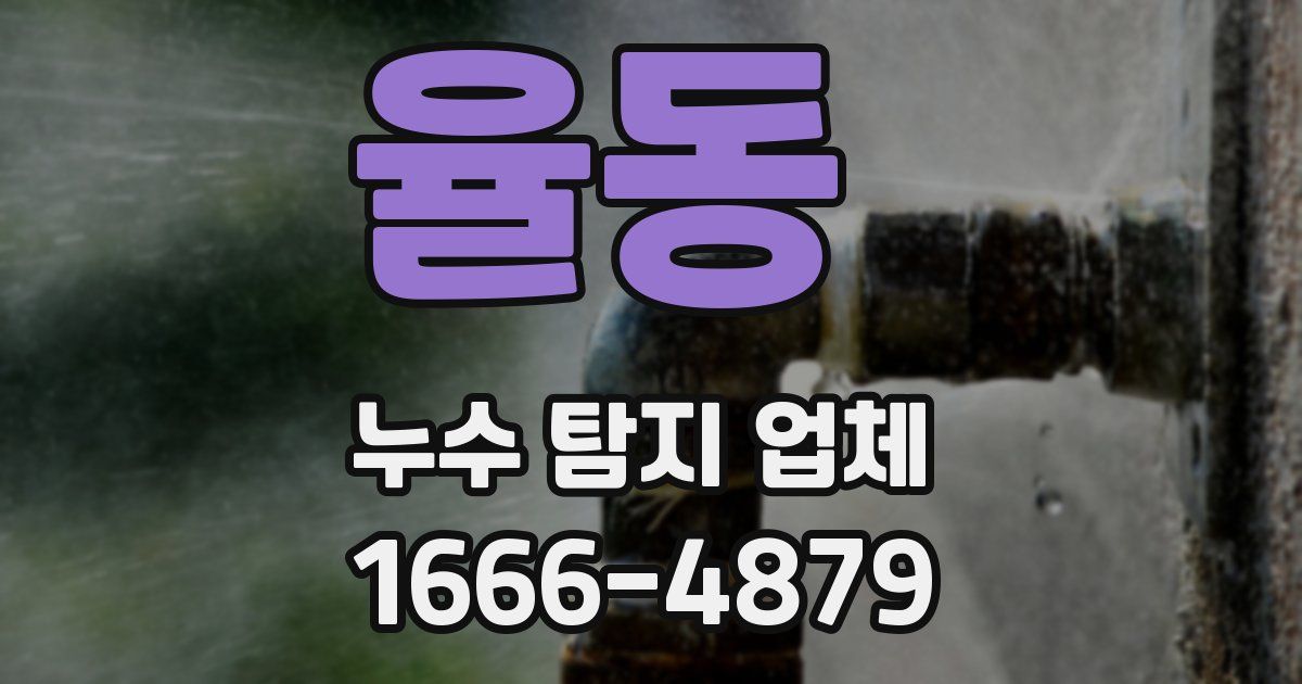 율동 누수 탐지 업체
