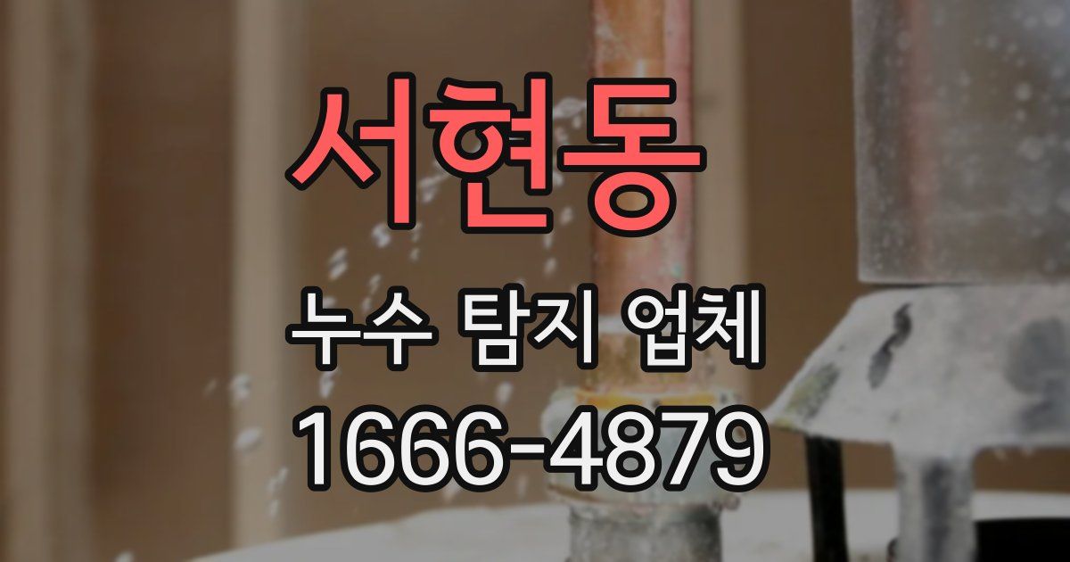 서현동 누수 탐지 업체