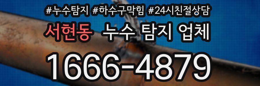 서현동 누수 탐지 업체