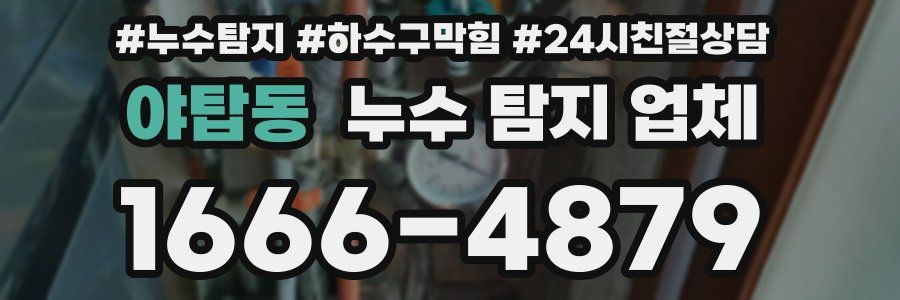 야탑동 누수 탐지 업체