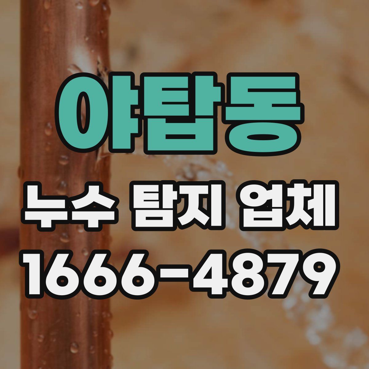 야탑동 누수 탐지 업체