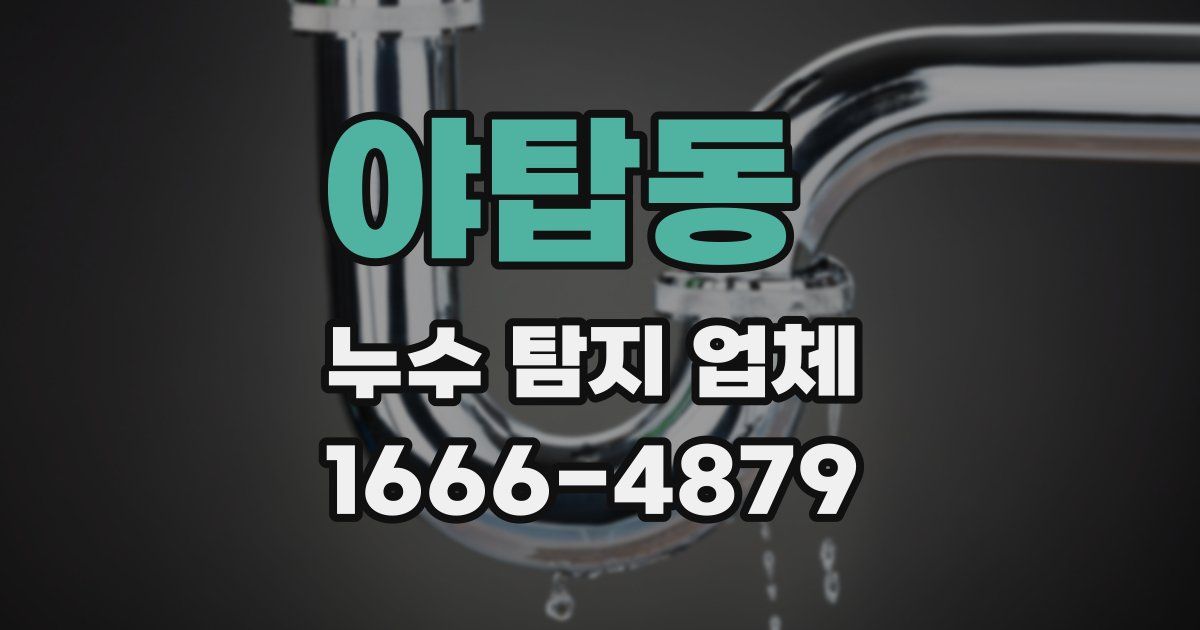 야탑동 누수 탐지 업체