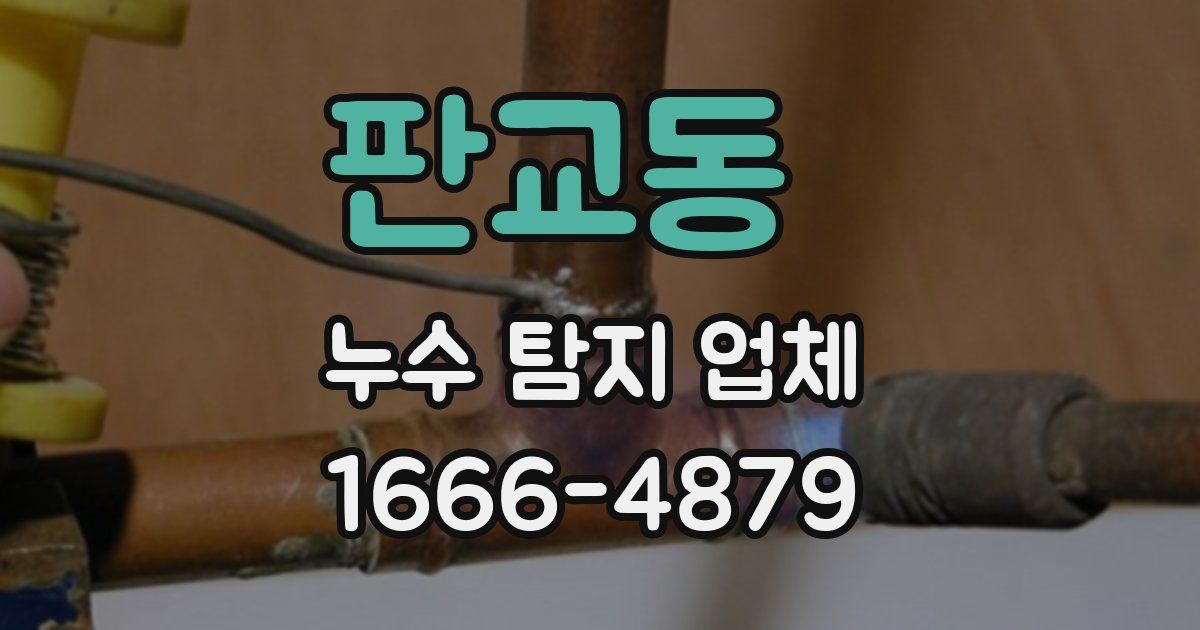 판교동 누수 탐지 업체