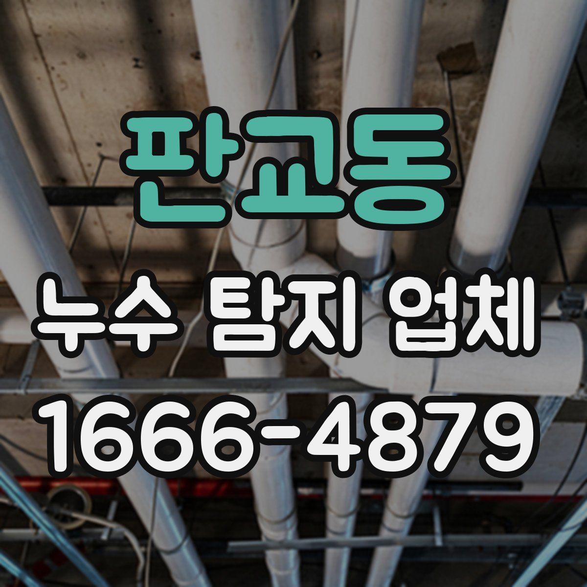 판교동 누수 탐지 업체