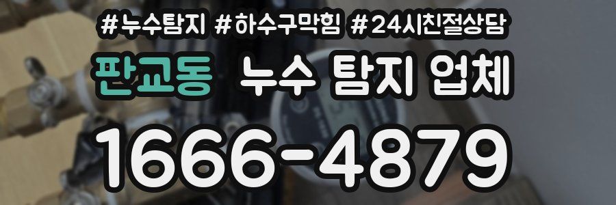 판교동 누수 탐지 업체