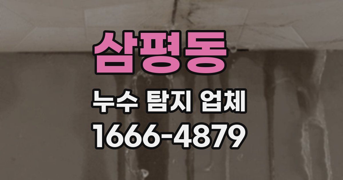 삼평동 누수 탐지 업체