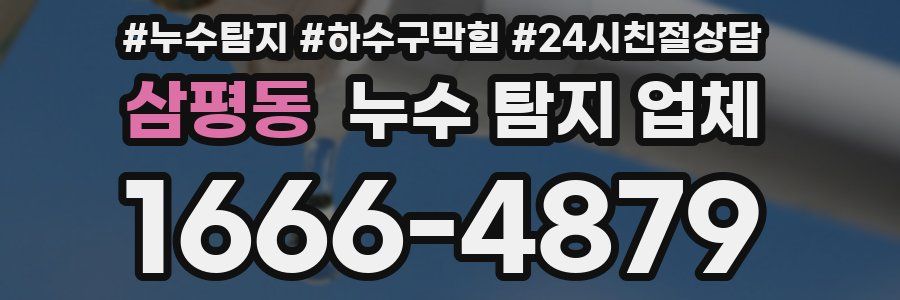 삼평동 누수 탐지 업체