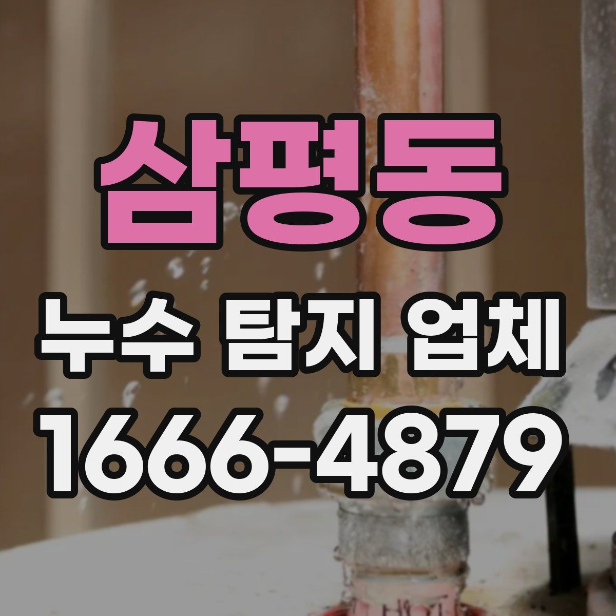 삼평동 누수 탐지 업체