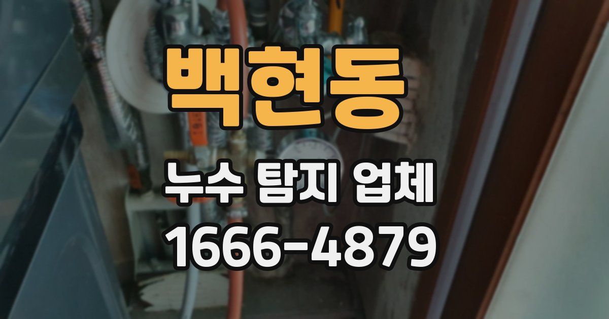 백현동 누수 탐지 업체
