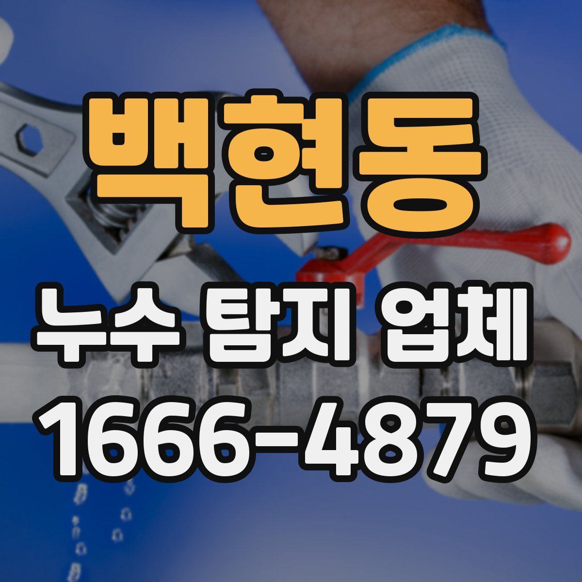 백현동 누수 탐지 업체